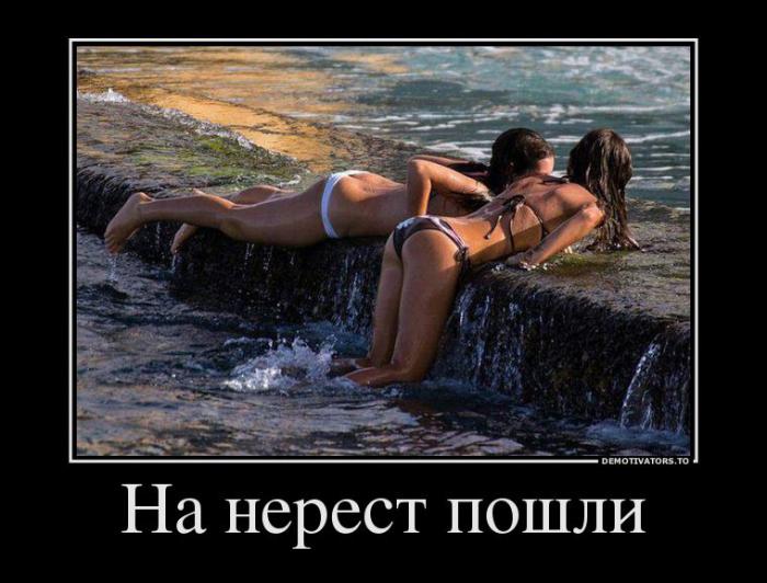 Демотиваторы