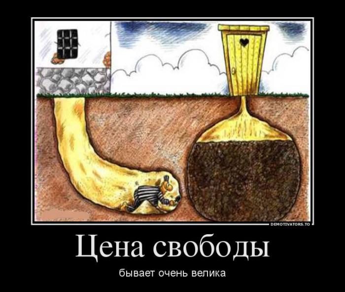 Демотиваторы