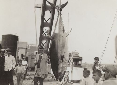 Беспринципный шарлатан или гениальный маркетолог Беспринципный шарлатан или гениальный маркетолог