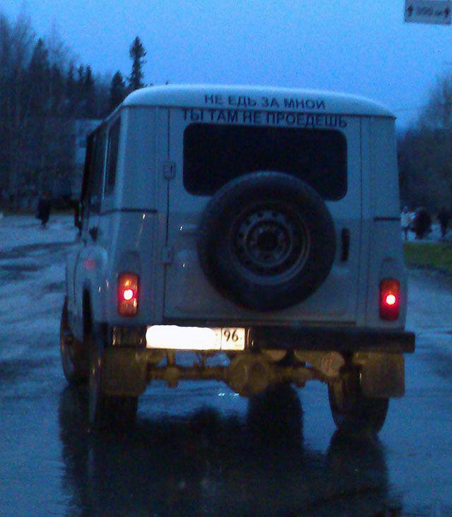 Прикольные картинки