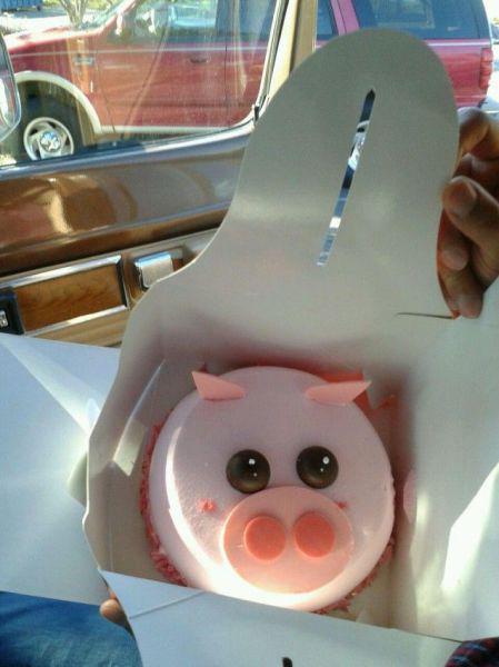 Прикольные картинки