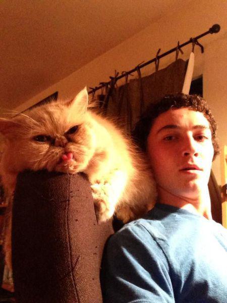 Прикольные картинки