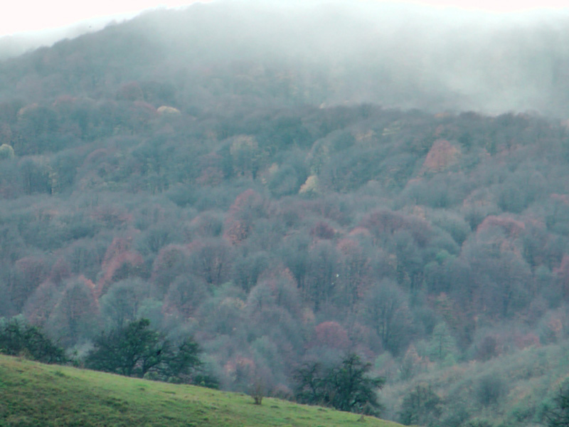 Быт спецназа. Тыл и довольствие