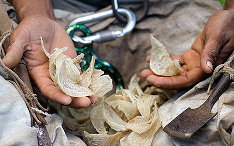 Самые странные супы в мире