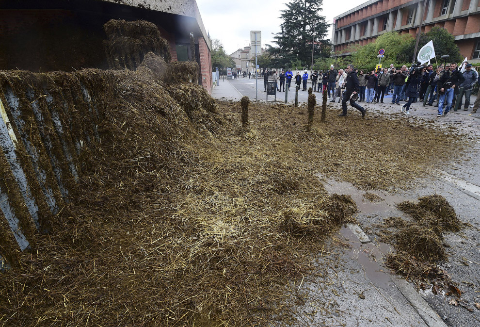 Бунт французских фермеров