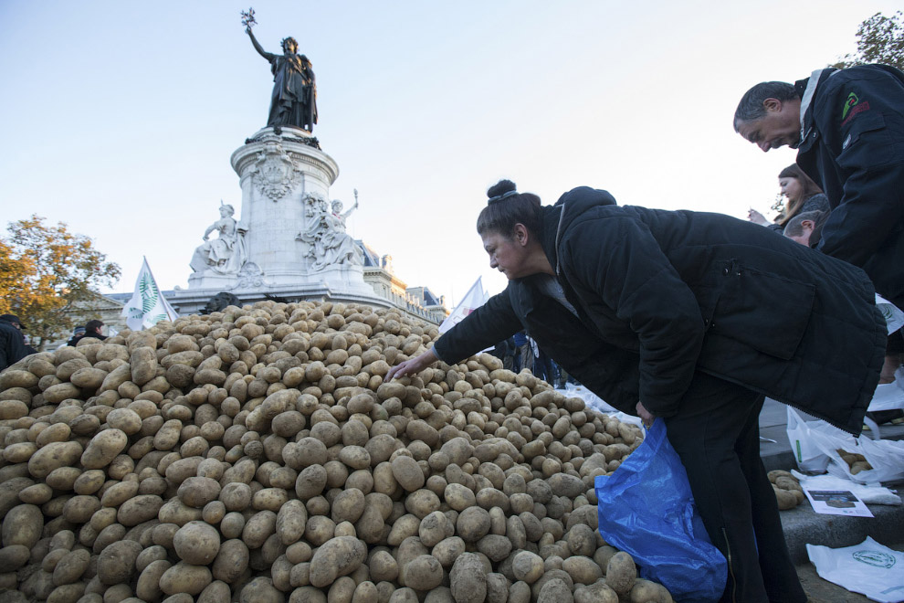 Бунт французских фермеров