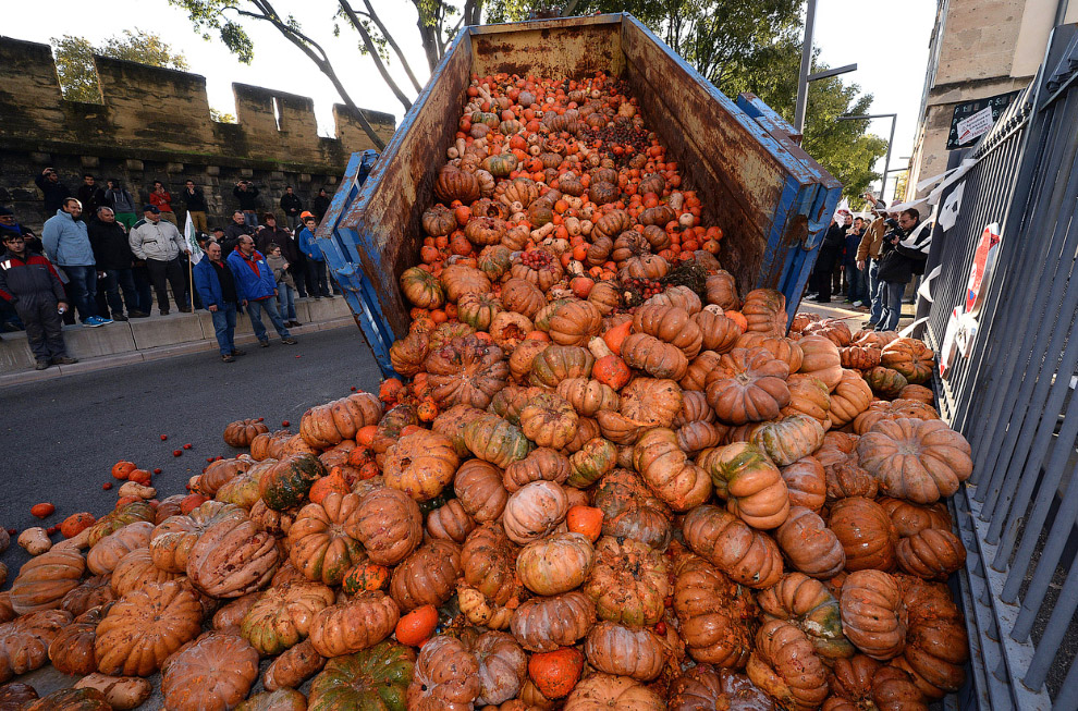 Бунт французских фермеров