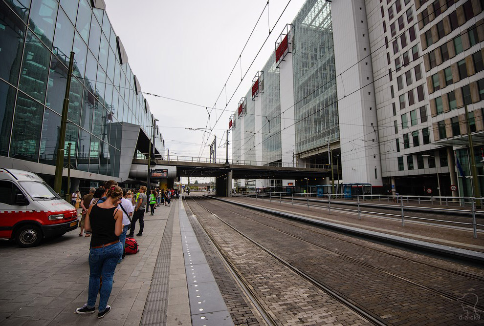 Прогулка по Гааге Прогулка по Гааге