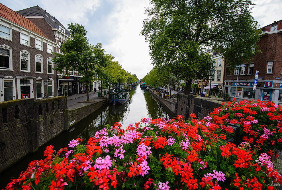 Прогулка по Гааге Прогулка по Гааге