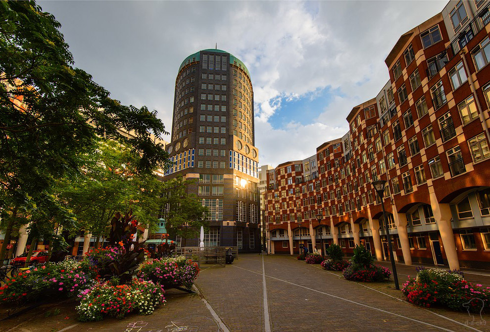 Прогулка по Гааге Прогулка по Гааге