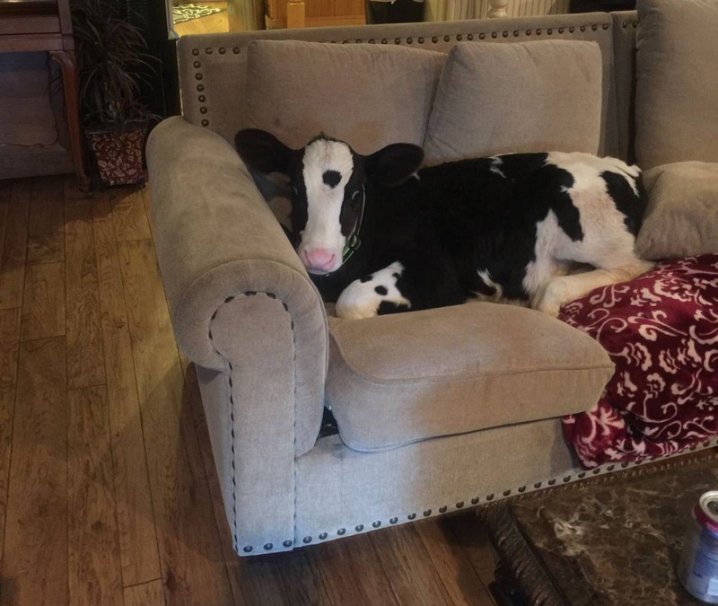 Больше, чем просто фото