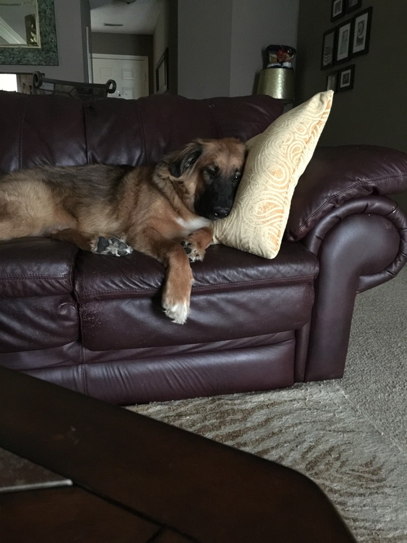 Больше, чем просто фото