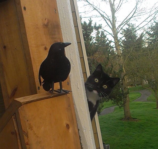 Больше, чем просто фото