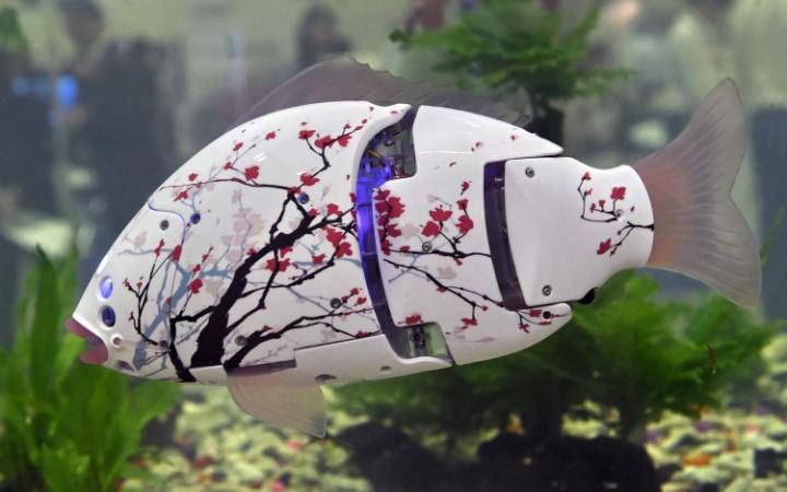 Неделя в фотографиях