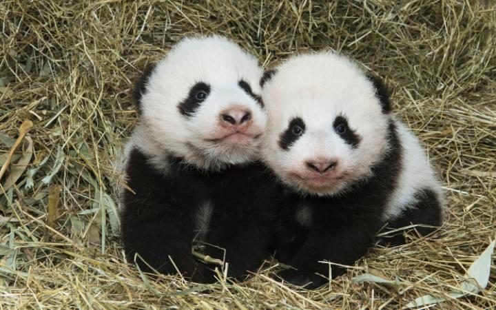 Неделя в фотографиях