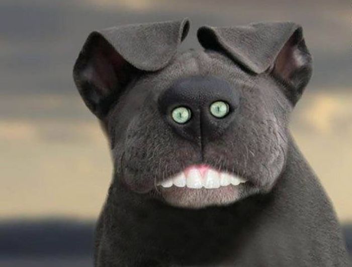 Снимки, которым трудно дать объяснение