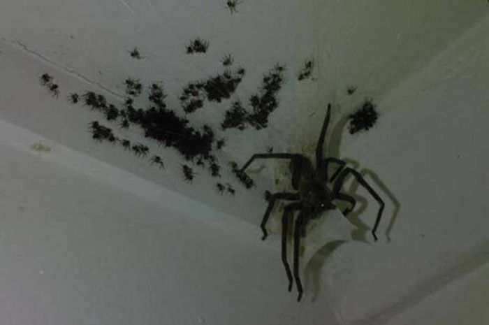 Снимки, которым трудно дать объяснение