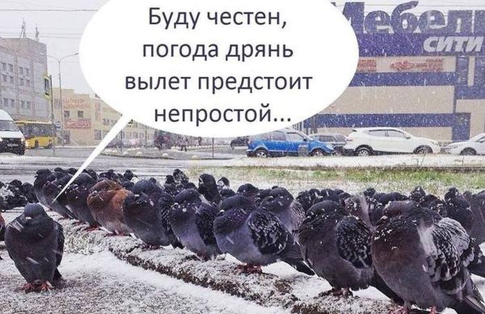 Прикольные картинки