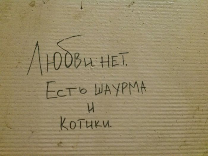 Прикольные картинки