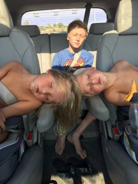 Прикольные картинки