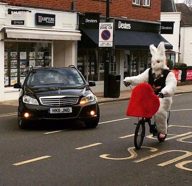 Прикольные картинки