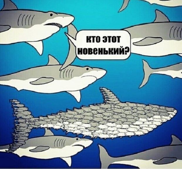 Смешные комиксы