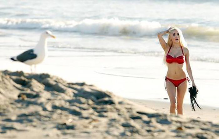 Девчонки в бикини