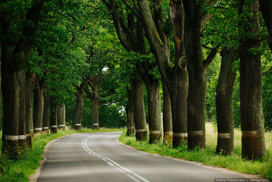 Старые немецкие города Калининградской области