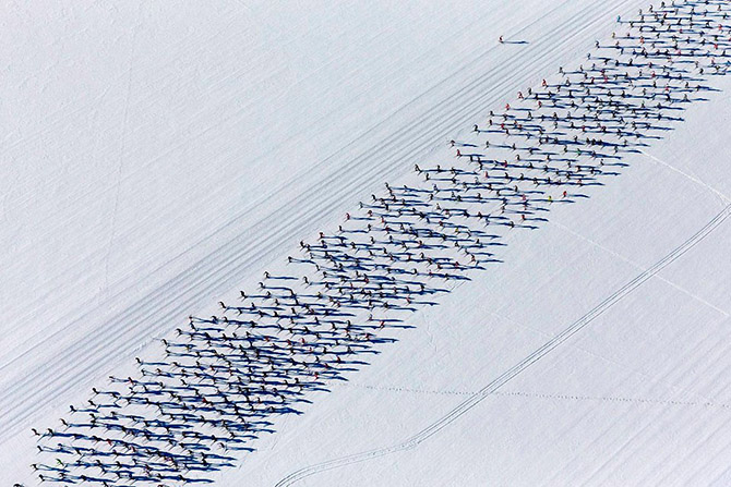 Лучшие спортивные фото 2014 года Лучшие спортивные фото 2014 года