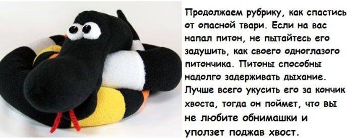 Кучка бесполезных фактов