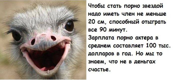 Кучка бесполезных фактов