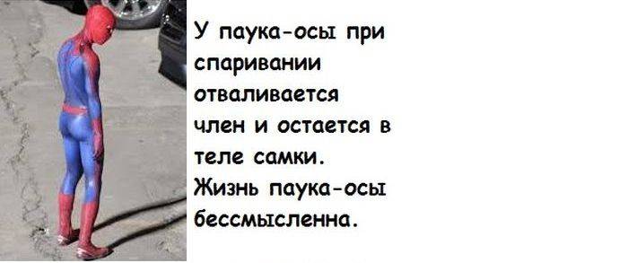 Кучка бесполезных фактов