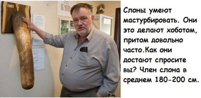 Кучка бесполезных фактов