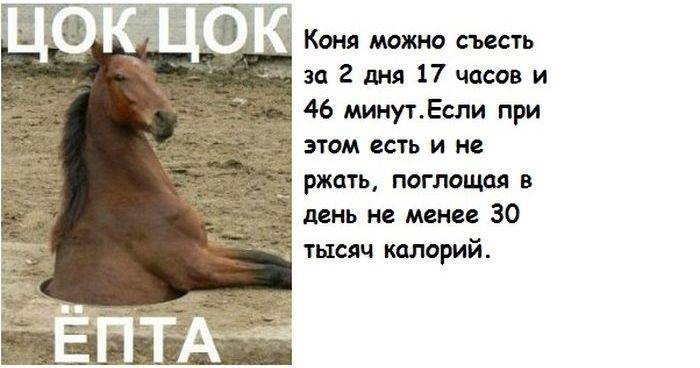 Кучка бесполезных фактов