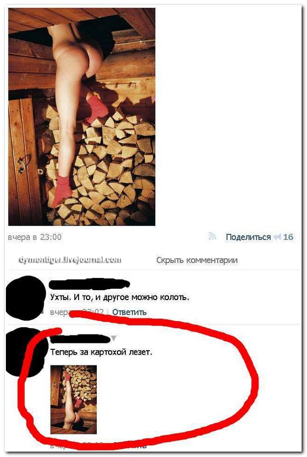 Смешные комментарии из социальных сетей