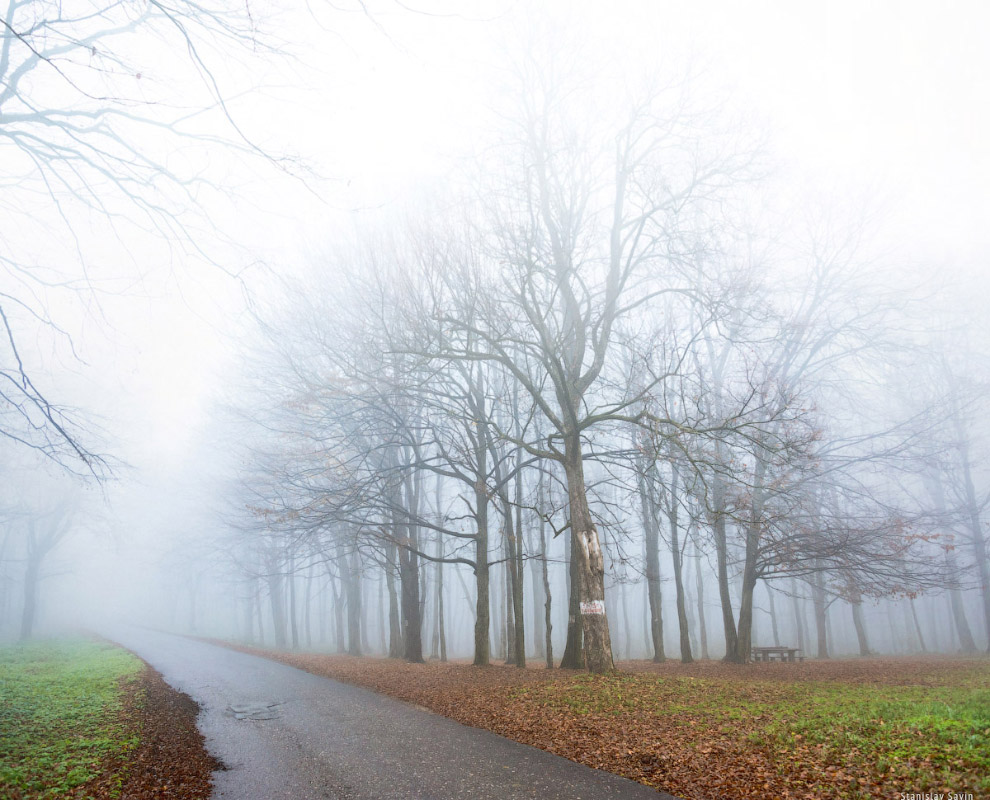 Большое путешествие по Сербии