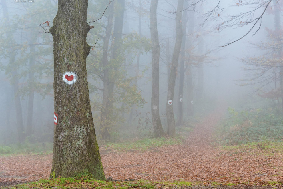 Большое путешествие по Сербии
