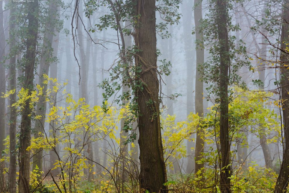 Большое путешествие по Сербии
