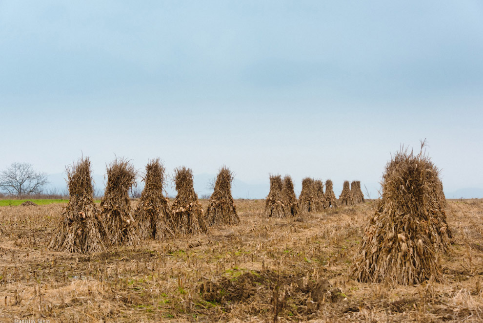 Большое путешествие по Сербии