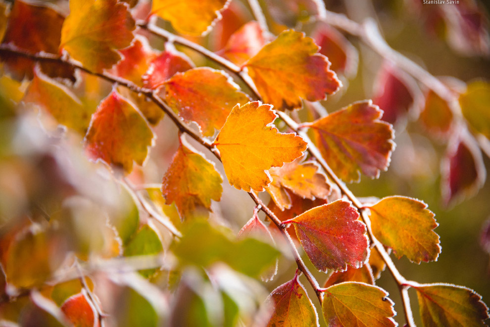 Большое путешествие по Сербии