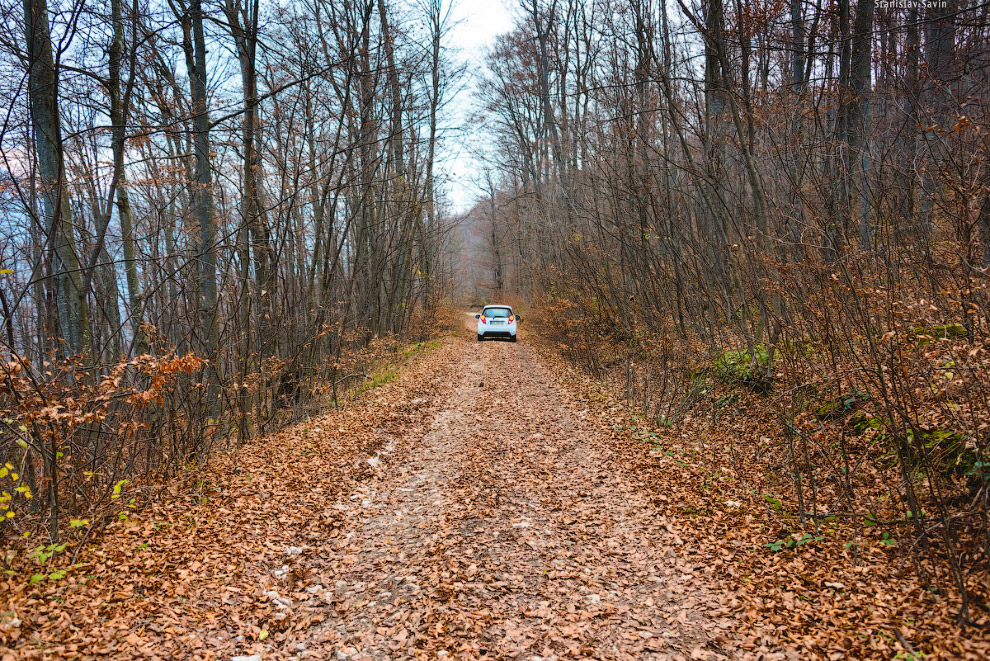 Большое путешествие по Сербии
