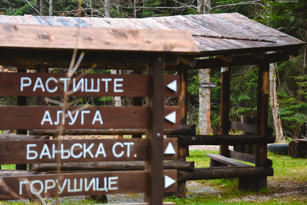 Большое путешествие по Сербии