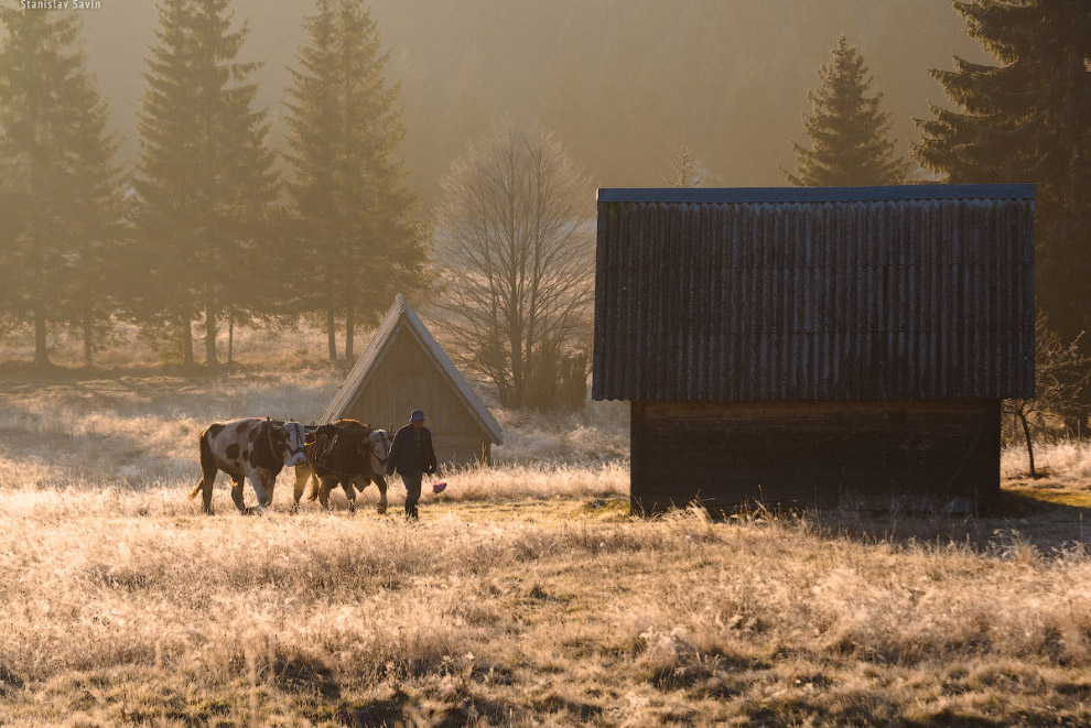 Большое путешествие по Сербии