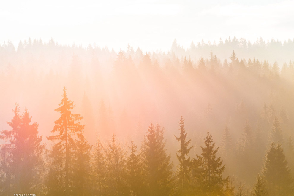 Большое путешествие по Сербии