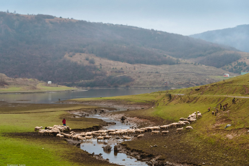 Большое путешествие по Сербии