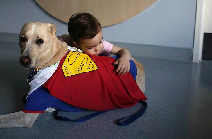 Животные, которые делают новости