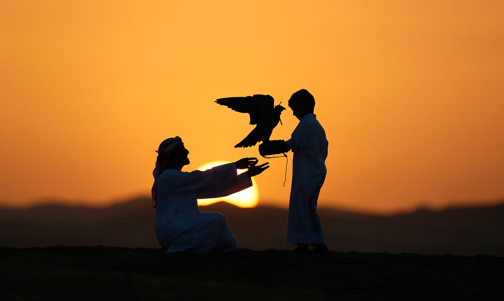 Животные, которые делают новости