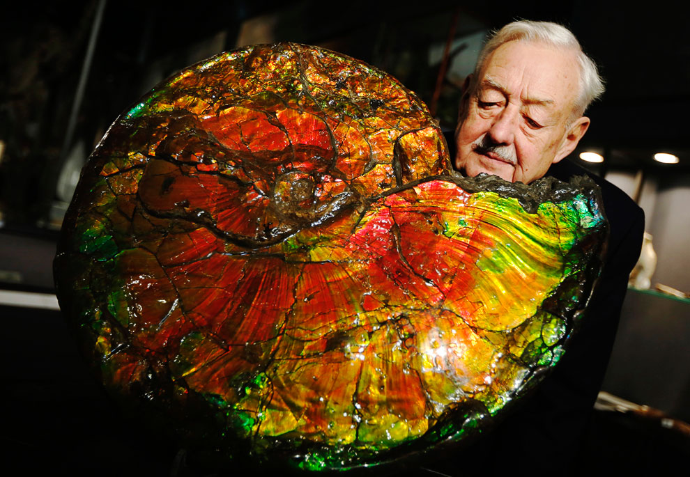 Животные, которые делают новости