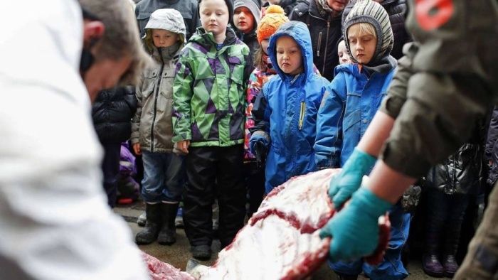 Европейский гуманизм (12 фото)