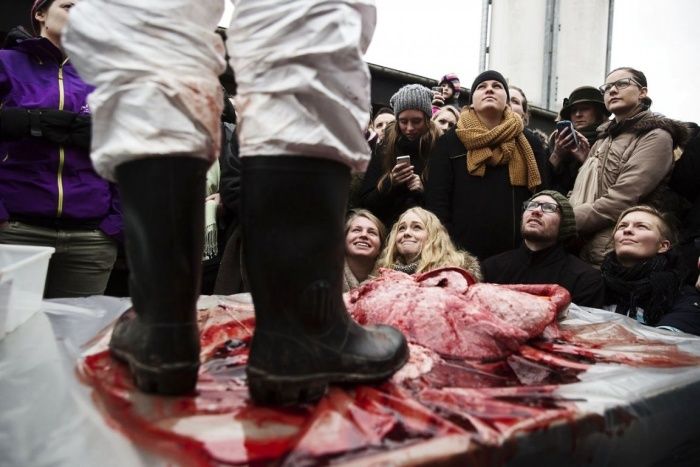 Европейский гуманизм (12 фото)